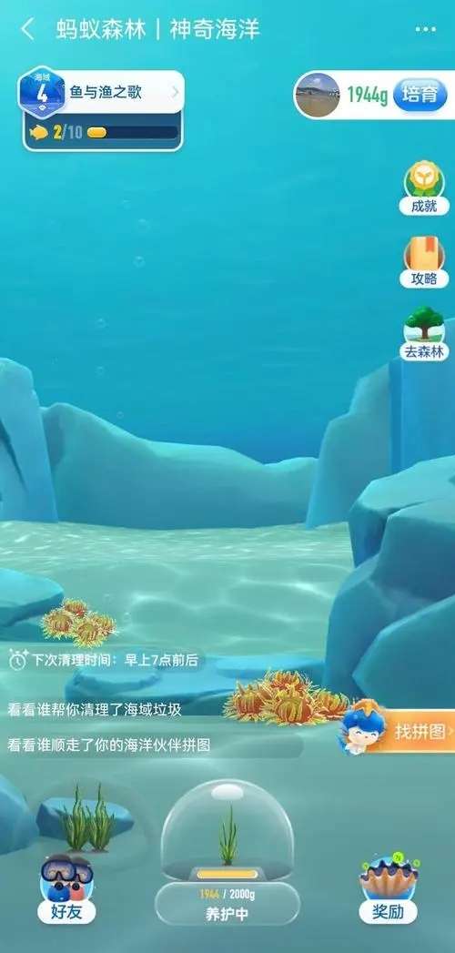 如果海洋发生赤潮，很可能会造成-支付宝神奇海洋8月14日答案