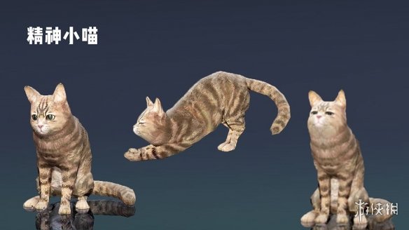 【黑色沙漠手游攻略】新版本6大活动介绍（详细教程）