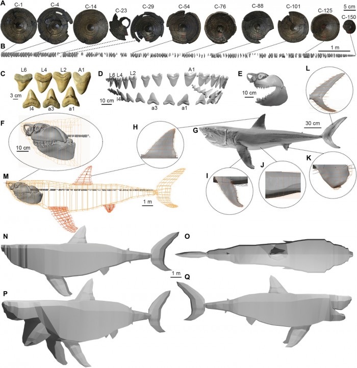 sciadv.abm9424-f1.jpg