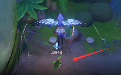 原神森林的孩子们任务怎么做