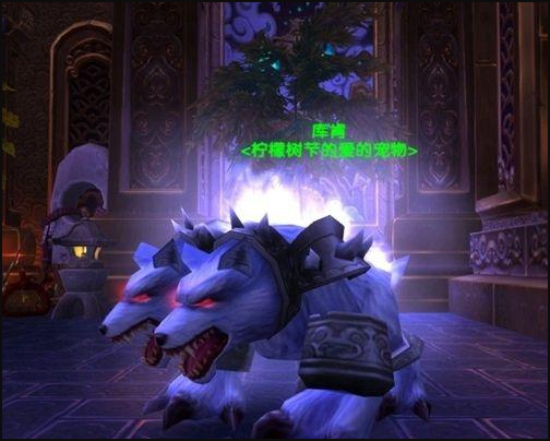 魔兽世界猎人稀有宠物有哪几只-猎人稀有宠物大全